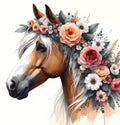 Horse head. Portrait. Brown Horse. Flowers. Watercolor. Isolated illustration on a white background. Banner. Close-up Royalty Free Stock Photo