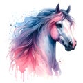 Horse head. Portrait pink mare. Watercolor paint. Isolated illustration on a white background. Banner. Close-up