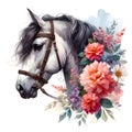 Horse head. Portrait. White Horse. Flowers. Watercolor. Isolated illustration on a white background. Banner. Close-up Royalty Free Stock Photo