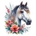 Horse head. Portrait. White Horse. Flowers. Watercolor. Isolated illustration on a white background. Banner. Close-up Royalty Free Stock Photo