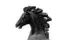 Horse head sculpture close-up. Bronze horse head black on white, part of the sculptural composition isolate reared horse head