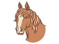 Horse head. Vector color illustration of red horse isolated on white Royalty Free Stock Photo