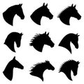 Horse head vector silhouettes Royalty Free Stock Photo