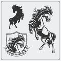 Horse heraldry coat of arms. Labels, emblems and design elements for sport club.