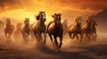 a horse herd against a solid background, bathed in the golden glow of a sunrise Royalty Free Stock Photo