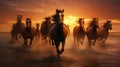 a horse herd against a solid background, bathed in the golden glow of a sunrise Royalty Free Stock Photo