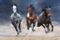 Horse herd galloping on desert dust Royalty Free Stock Photo