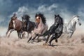 Horse herd  galloping on desert Royalty Free Stock Photo