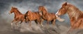 Horse herd galloping on desert Royalty Free Stock Photo