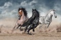 Horse herd  galloping on desert Royalty Free Stock Photo