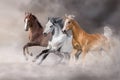 Horse herd run in desert Royalty Free Stock Photo