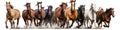 Horse herd run fast on white Royalty Free Stock Photo