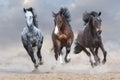 Horse herd run free Royalty Free Stock Photo