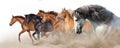 Horse herd run on white Royalty Free Stock Photo