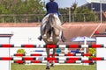 Horse Hoofs Rider Jump Poles Behind Rear Hoofs