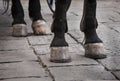 Horse hooves on the cobble street