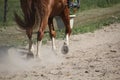 Horse hooves in the dust Royalty Free Stock Photo