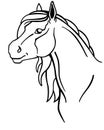 Horse. Horse head, portrait - linear picture for coloring. Beautiful horse head with a long mane.