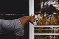 Horse in horsecloth standing in paddock in front of shelter Royalty Free Stock Photo