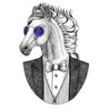 Horse, hoss, knight, steed, courser Hipster animal Hand drawn illustration for tattoo, emblem, badge, logo, patch, t Royalty Free Stock Photo