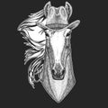 Horse, hoss, knight, steed, courser. Wild west. Traditional american cowboy hat. Texas rodeo. Print for children, kids t Royalty Free Stock Photo