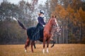 Horse-hunting with ladies in riding habit