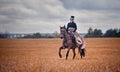 Horse-hunting with ladies in riding habit