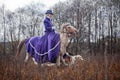 Horse-hunting with ladies in riding habit