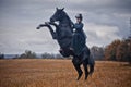 Horse-hunting with ladies in riding habit