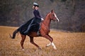 Horse-hunting with ladies in riding habit