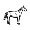 Horse icon. Black line vector isolated icon on white background. Royalty Free Stock Photo