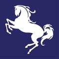 Horse icon blue background