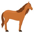 Horse icon. Farm riding animal. Cartoon stallion