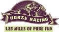 Horse jockey racing 1.25 mile