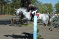 Horse jump