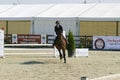 Horse jump at the equitation contest