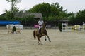 Equitation contest, horse jumping over obstacle