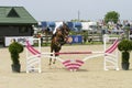 Equitation contest, horse jumping over obstacle