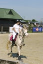 Equitation contest, horse jumping over obstacle