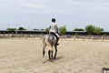 Equitation contest, horse jumping over obstacle