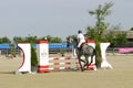 Equitation contest, horse jumping over obstacle Royalty Free Stock Photo