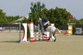 Equitation contest, horse jumping over obstacle