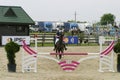 Equitation contest, horse jumping over obstacle Royalty Free Stock Photo