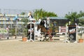 Equitation contest, horse refusing to jump over an obstacle