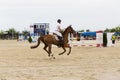 Equitation contest, horse jumping over obstacle Royalty Free Stock Photo