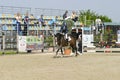 Equitation contest, horse jumping over obstacle