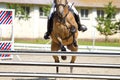 Horse jump a hurdle