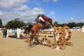 Horse jumping