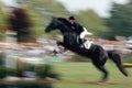 Horse jumping Royalty Free Stock Photo