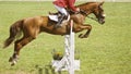 Horse jumping